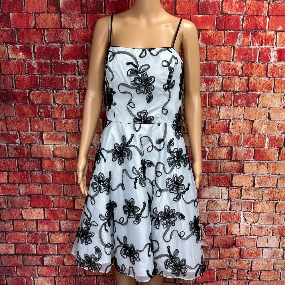 Masquerade Vintage Y2K Tulle Dress Bouffant Dress